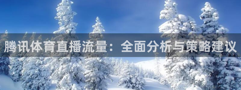 腾讯体育直播流量：全面分析与策略建议