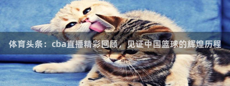 体育头条：cba直播精彩回顾，见证中国篮球的辉煌历程