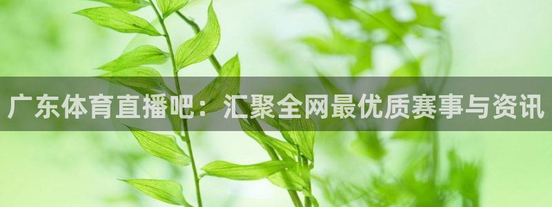 广东体育直播吧：汇聚全网最优质赛事与资讯