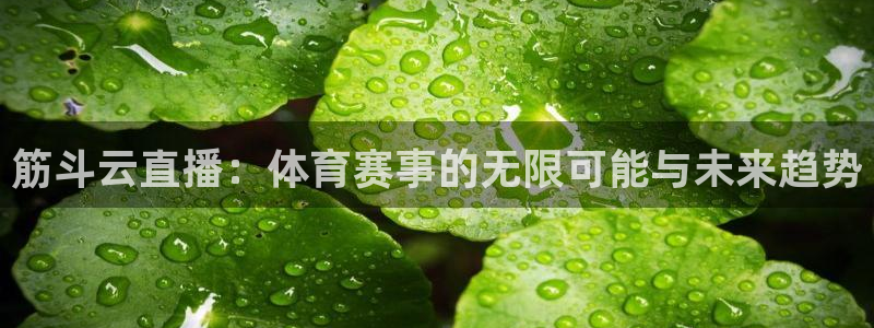筋斗云直播：体育赛事的无限可能与未来趋势