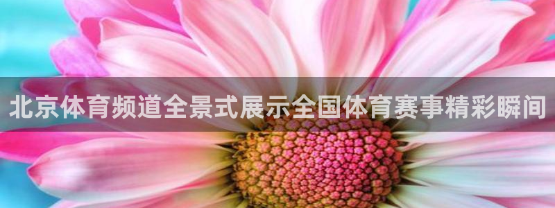 北京体育频道全景式展示全国体育赛事精彩瞬间