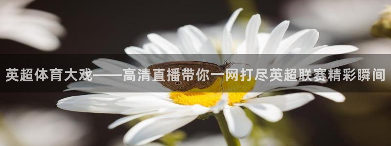 英超体育大戏——高清直播带你一网打尽英超联赛精彩瞬间