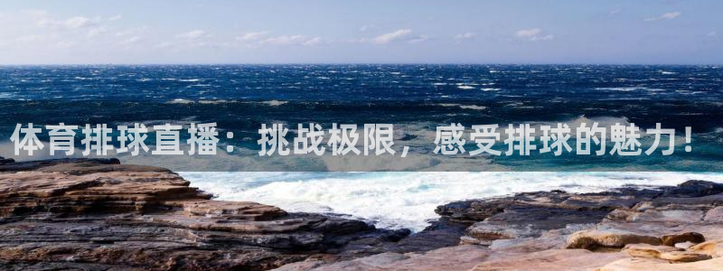 体育排球直播：挑战极限，感受排球的魅力！